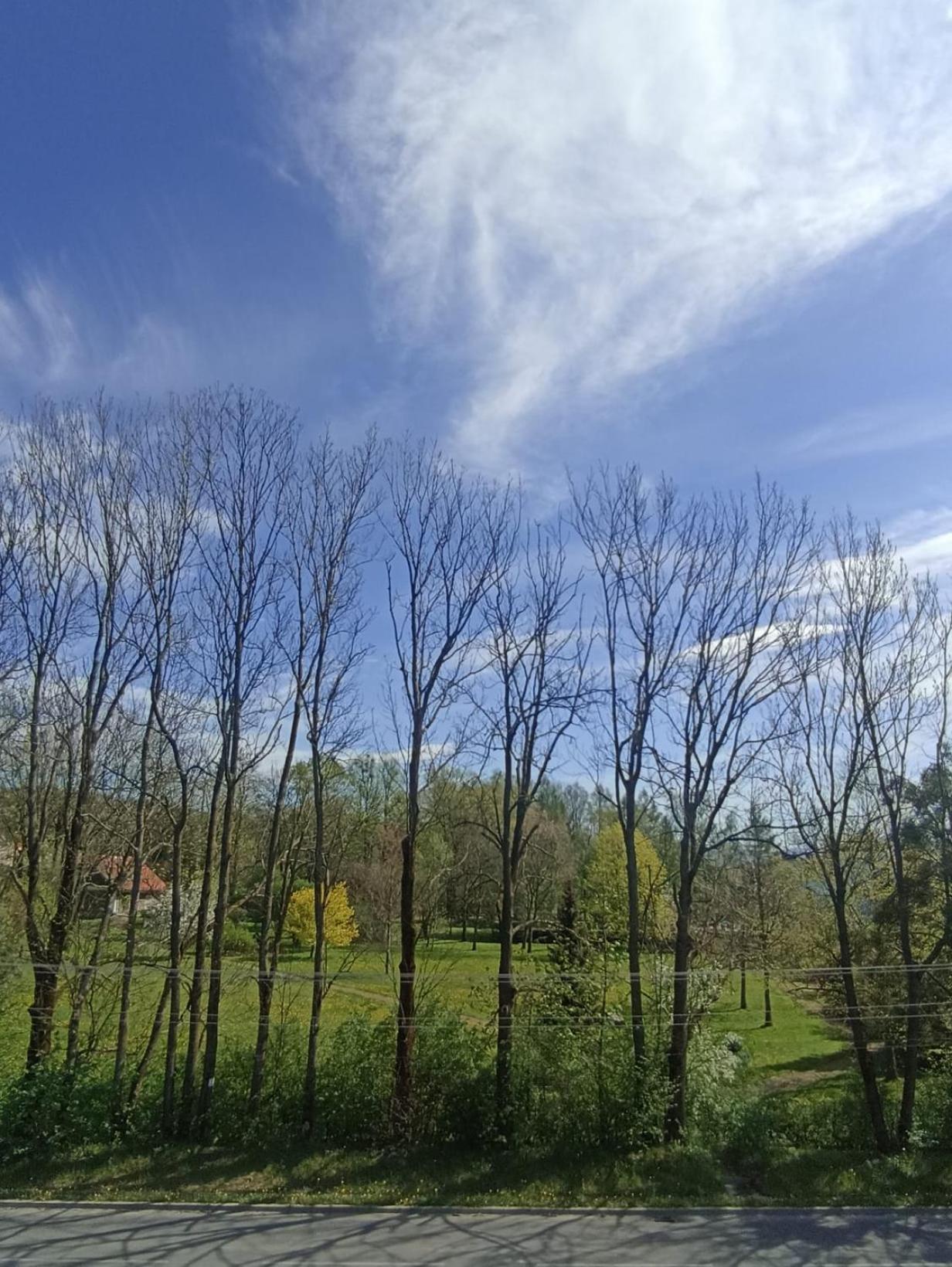 Apartament Aleja Lipowa Gorki Wielkie Exterior foto