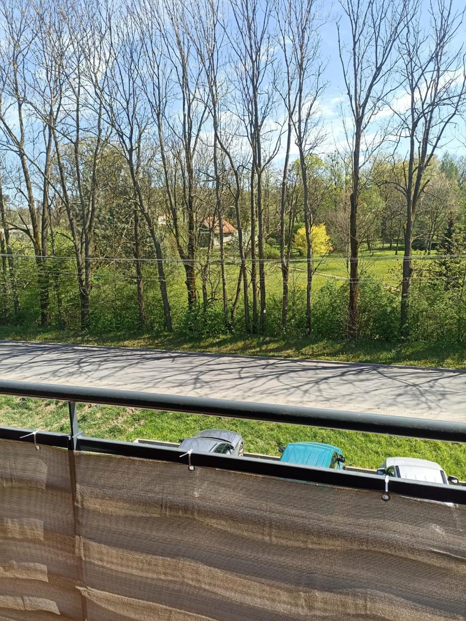 Apartament Aleja Lipowa Gorki Wielkie Exterior foto